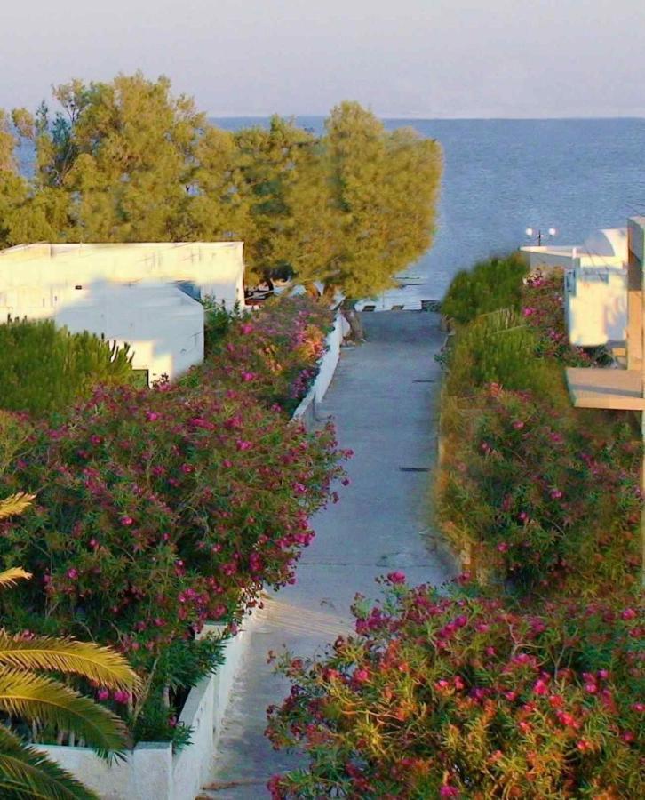 פריסה Located By The Sea One Beachfront Private Captain Lazaros Pool Villa With Loft In 750Sqm Spacious Private Plot-Jacuzzi-Sunrelax-Furnished Terace-Gazebo-Private Parking,Sleep 3 Adults And 2 Children, Just Steps From The Black Beach-Seaview מראה חיצוני תמונה
